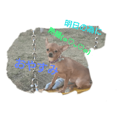kaoru_20190904091800