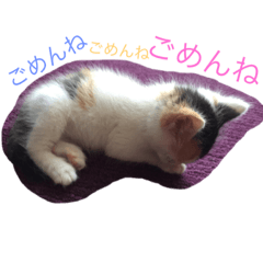 ask_20190903220858