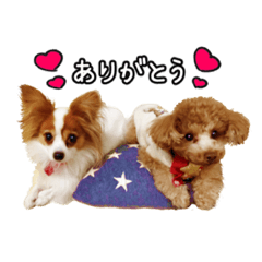 kanako_20190903185254