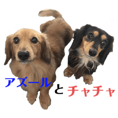 ann_20190904001218