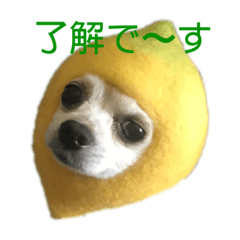 kiyo_20190903222901