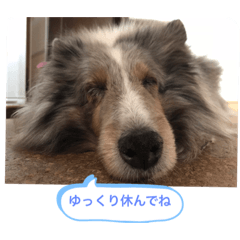 Ayumi_20190903221247