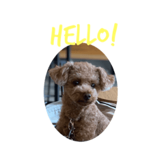 junko_20190903184859