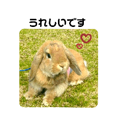 モコナちゃん３