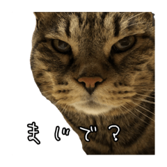 HARURU_20190904151657