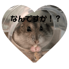 chiharu_20190904162010
