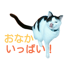 hayato_20190904161937