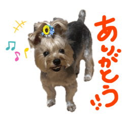 mo_20190904155848