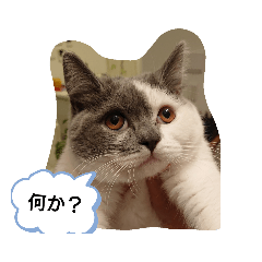 risa_20190904191730
