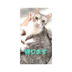 toto_20190904211635