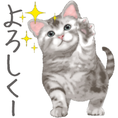 Sticker for people who like a cat 2