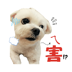 熊萊恩古靈精怪篇