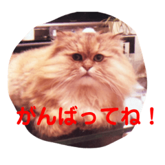 HANA_20190904232655