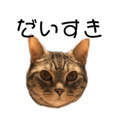 nozomi_20190904233137