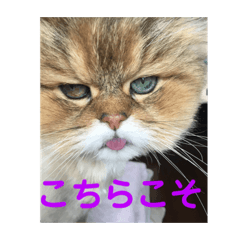 HANA_20190905002714