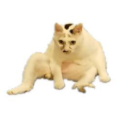 kazuki_20190904233551