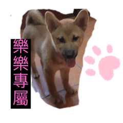 我愛的樂樂