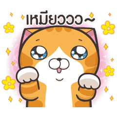 เหมียวซ่า : ปาร์ตี้ชุดแฟนซี