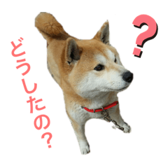 Tetsu_20190905114302