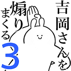 Rabbits feeding3[YOSHIOKA-san]