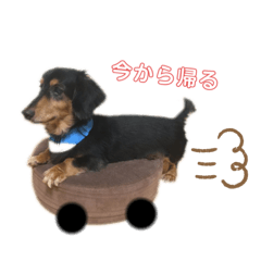 Koron stamp by Haruna