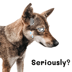 Dogs Among Us En Line Stickers Line Store