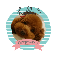cocoa_20190905145038
