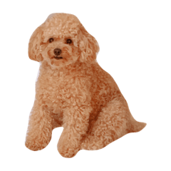 moco_20190905161509