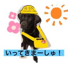 hisa_20190905163332