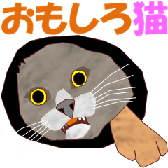 Funny cat MV
