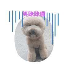 仔哥的生活趣事喔!