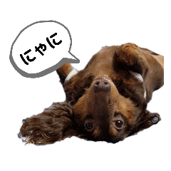 marina_20190905223948