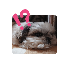 kanae_20190905230503