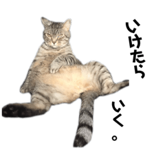 nozomi_20190905232933