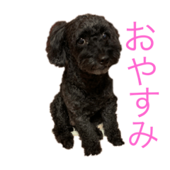 kanako_20190906011146