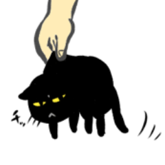 Very black cat 6