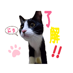 mamedaifuku_20190906164010