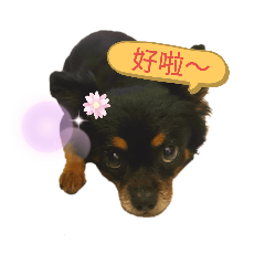 兔-寶寶