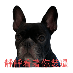 露總