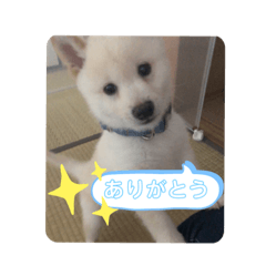 omochi_20190906191546