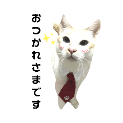 にゃんずライフ