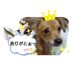 junko_20190906193731