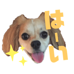 tomomi_20190906222330