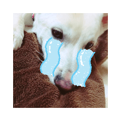 hana_20190906232652