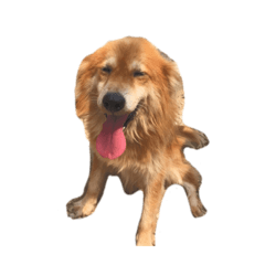 John_20190907025954
