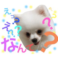 yayoi_20190907022741