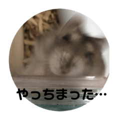 chiharu_20190907092915