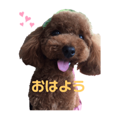 hana_20190907080602