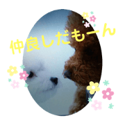 roco._.moco_20190907094246