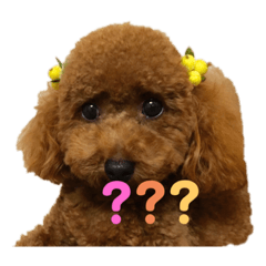 hana_20190907102521